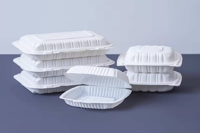 Custom Disposable Food Container
